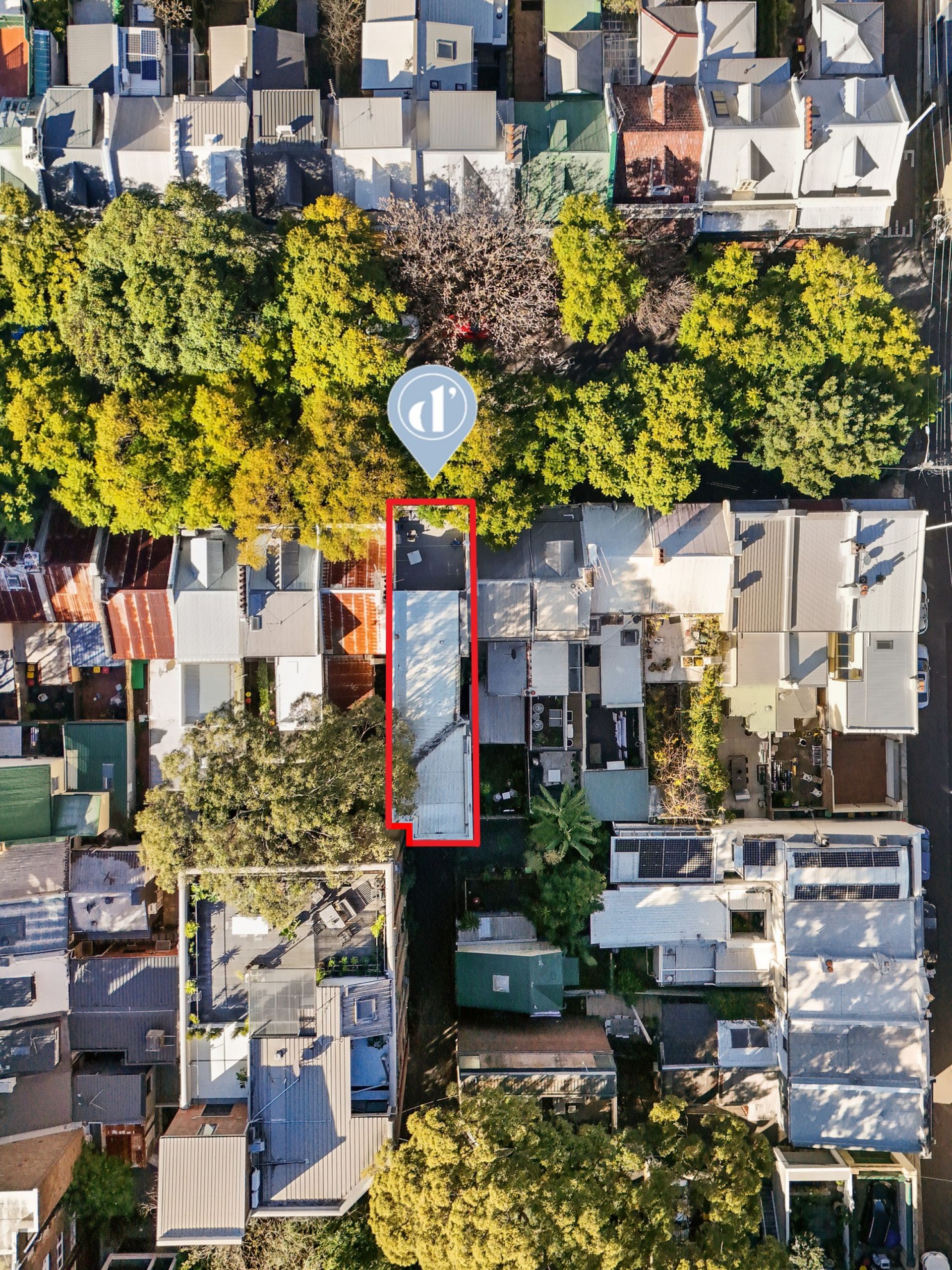 141 Riley Street Darlinghurst NSW, Darlinghurst - Thumbnail 4