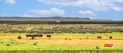 66 Outlook Drive, Venus Bay VIC, Venus Bay - Thumbnail 4