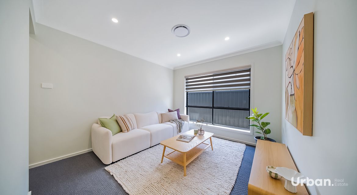 Bellbird 68 Abbotsford Street