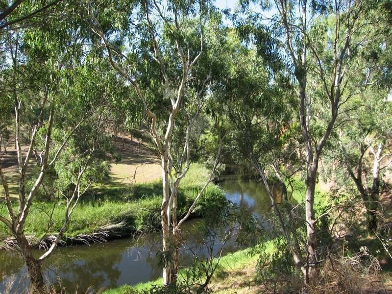 14 Tyne Street GILBERTON SA, Gilberton - Thumbnail 2