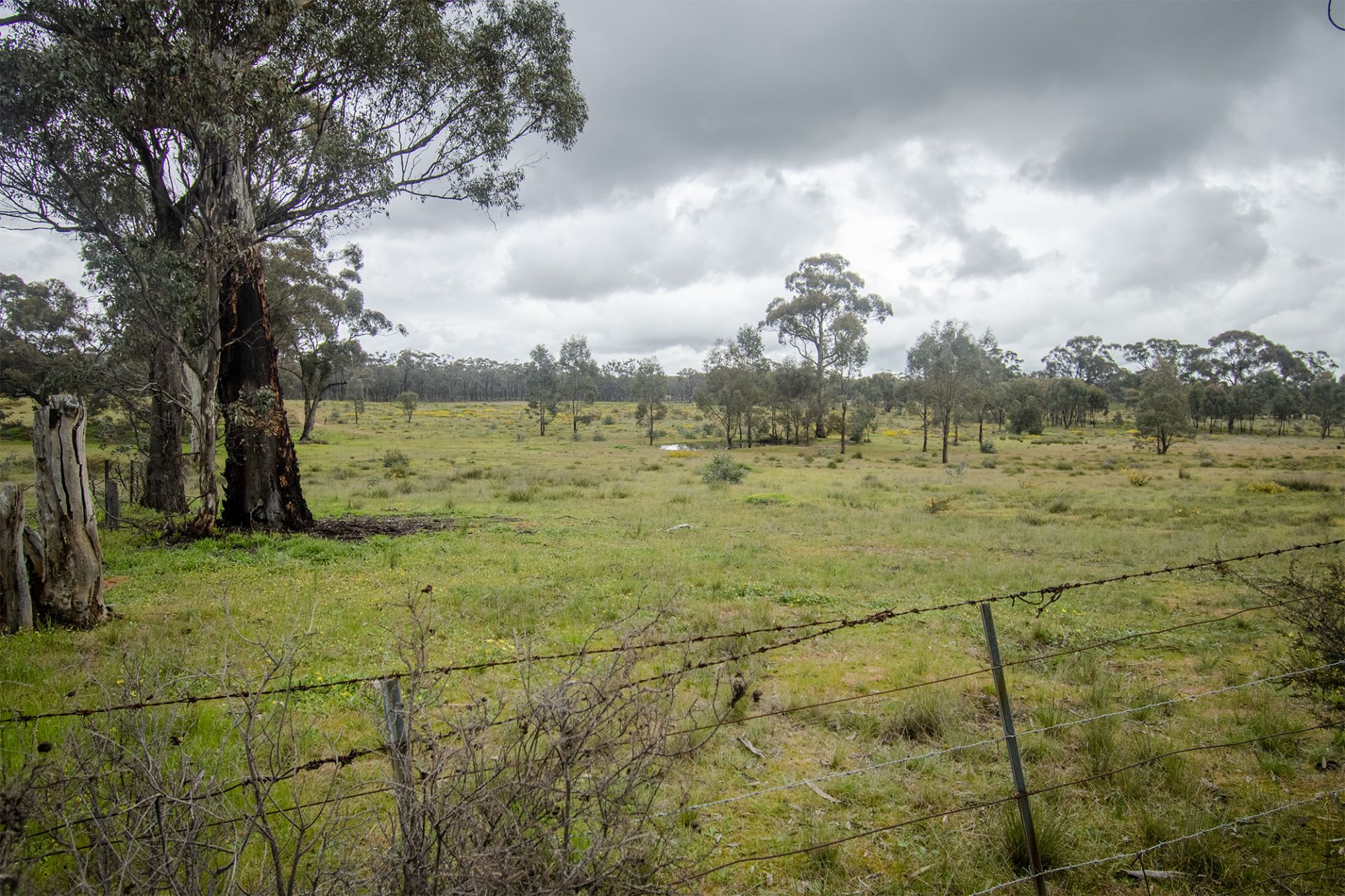 31/123 Logan Road, Alma - Thumbnail 7