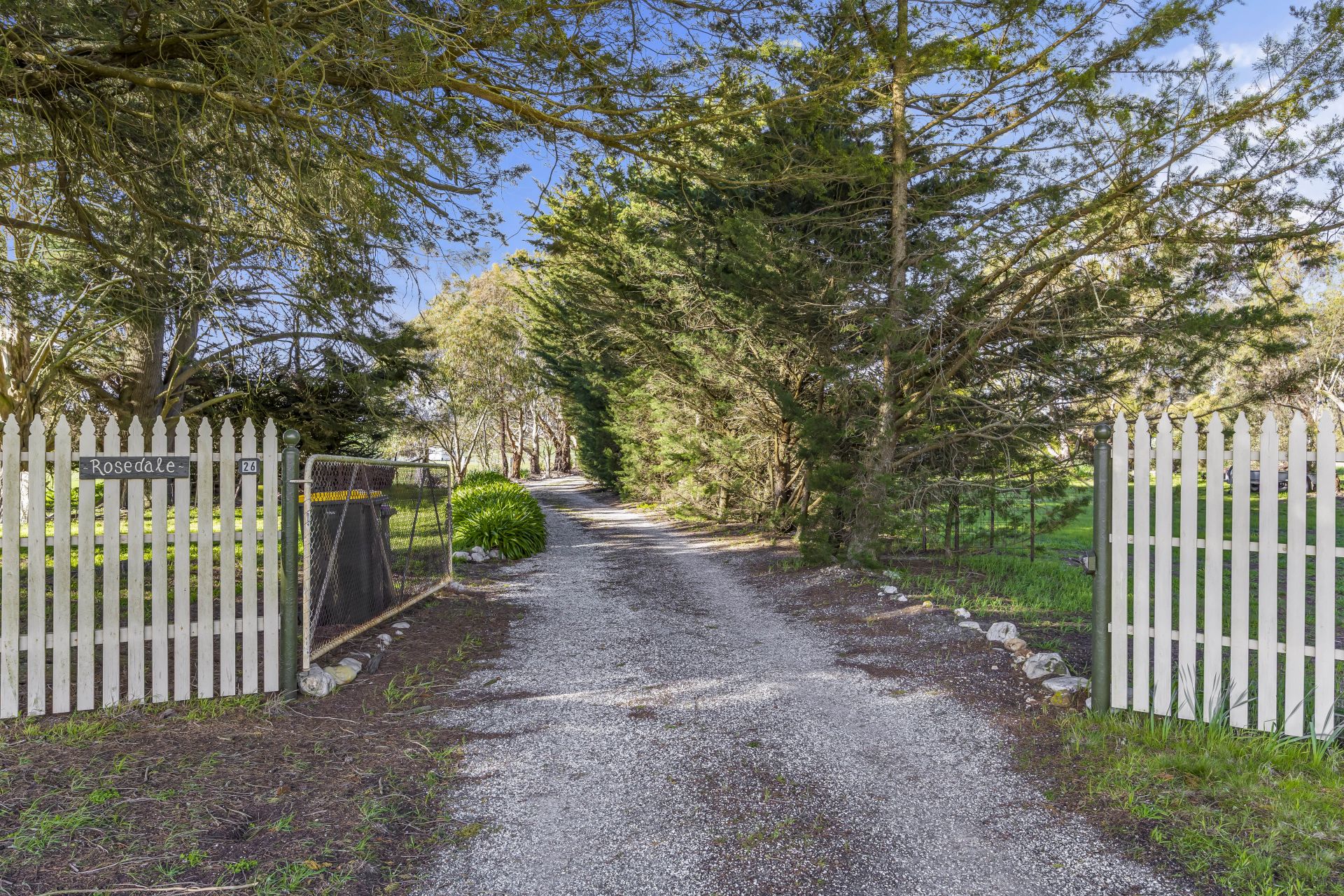 26 Jones Road, Waterloo, Waterloo - Thumbnail 4
