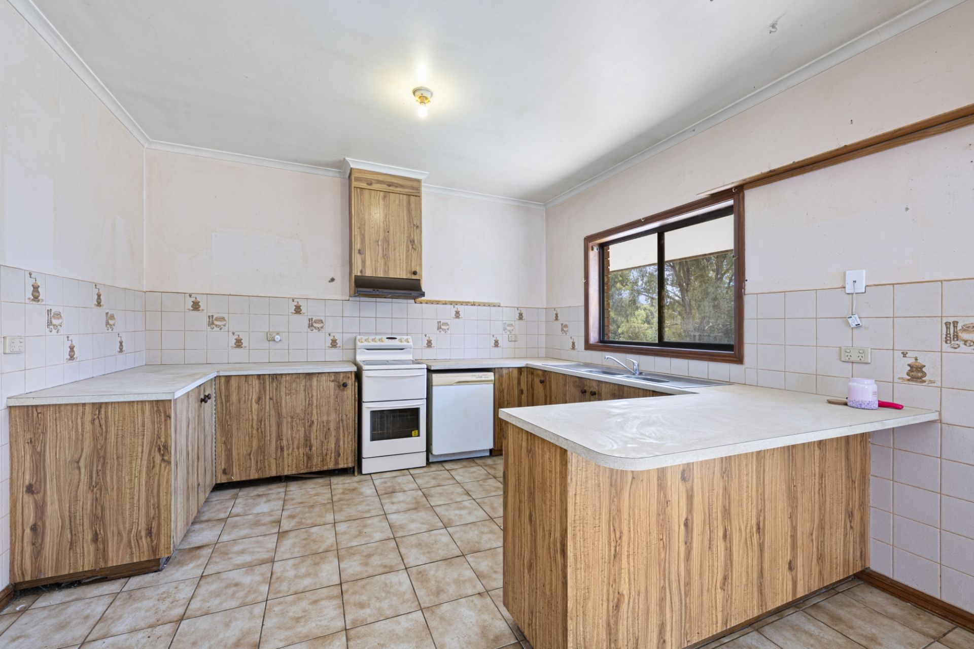 70 Menzies Drive, Daisy Hill - Thumbnail 5