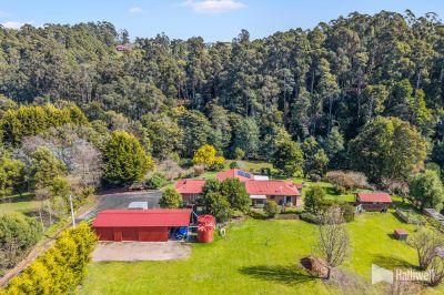 38 Winifred Avenue, Acacia Hills, Acacia Hills - Thumbnail 2