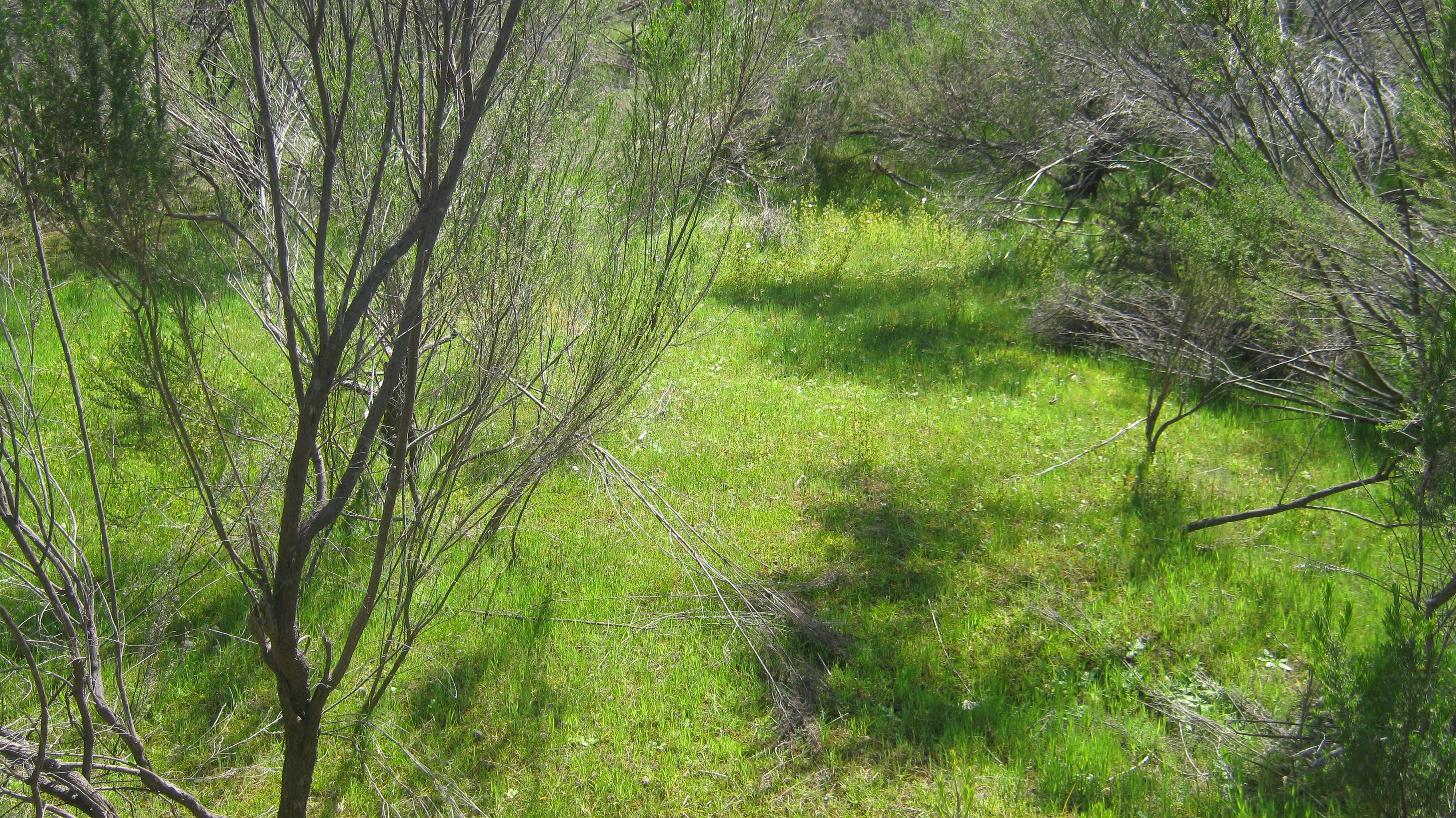 Lot 2/ Hylands Lane, Heathcote VIC 3523