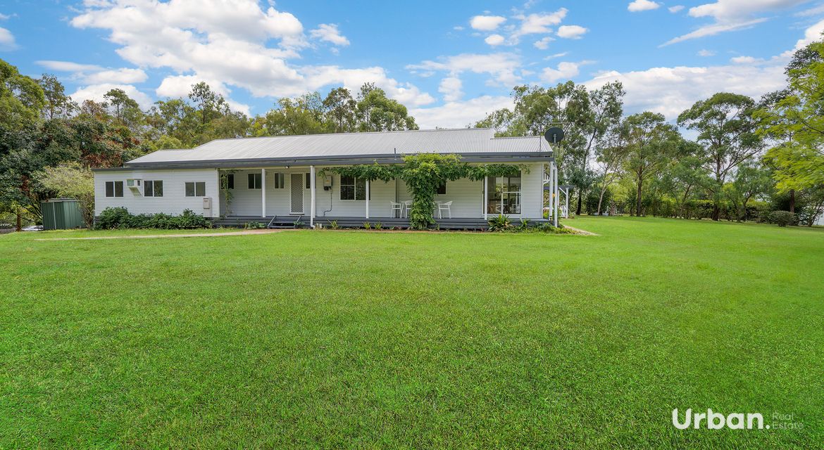 Bellbird 89b Edden Street