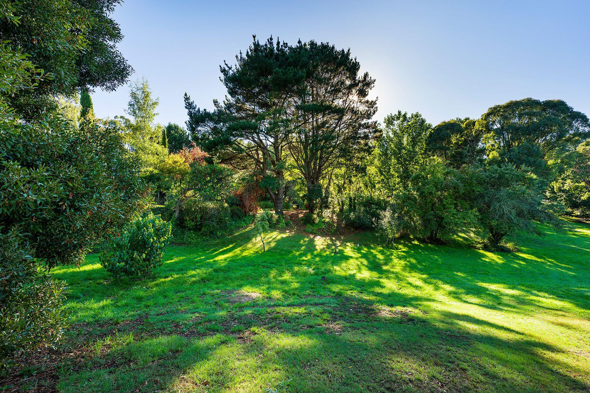45 Perrins Street Daylesford, Daylesford - Thumbnail 6