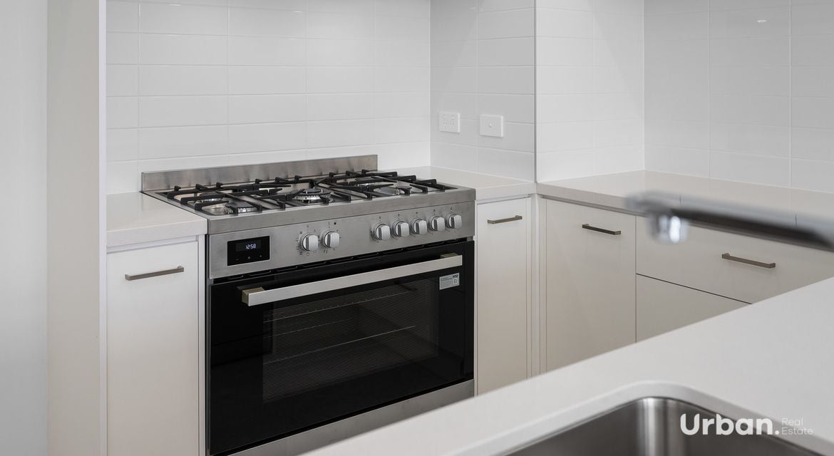 Oran Park 36 Brangus Loop