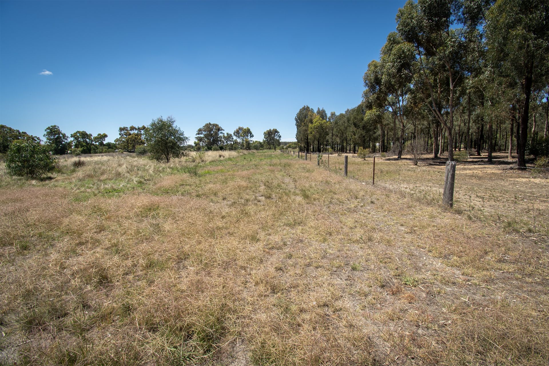 29 Steele Street, Dunolly - Thumbnail 8