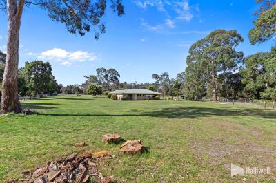 4 Peppermint Court, Port Sorell, Port Sorell - Thumbnail 8