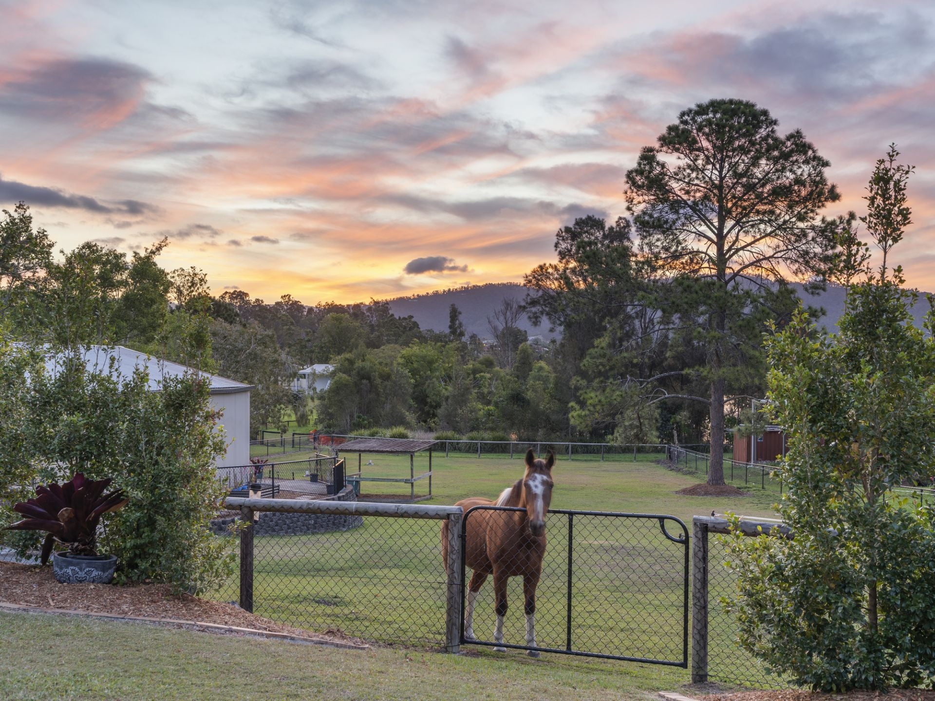 33 Ruth Terrace, Oxenford - Thumbnail 3