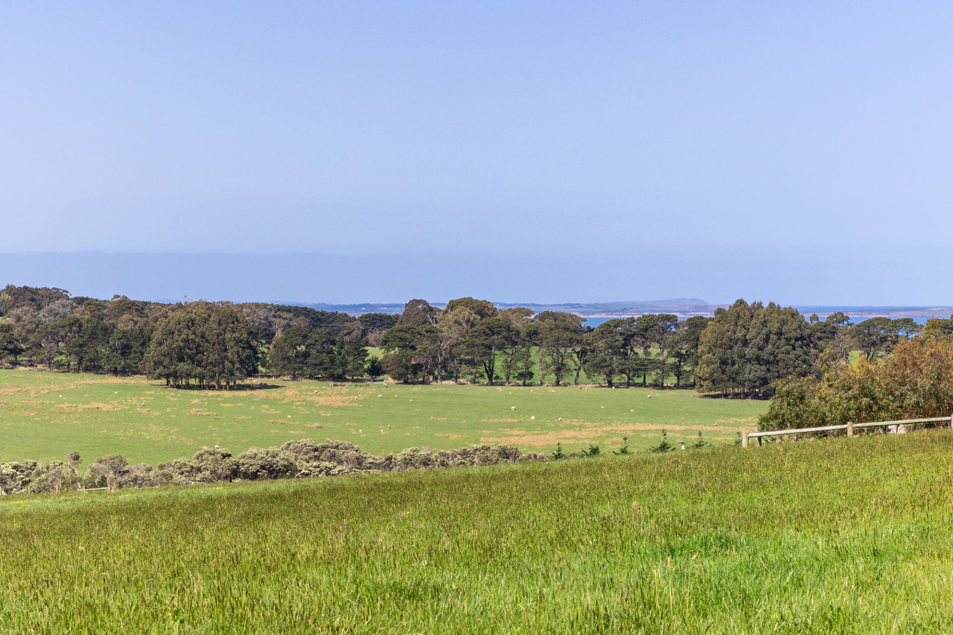 2091 Mornington-Flinders Road, Flinders, Flinders - Thumbnail 3