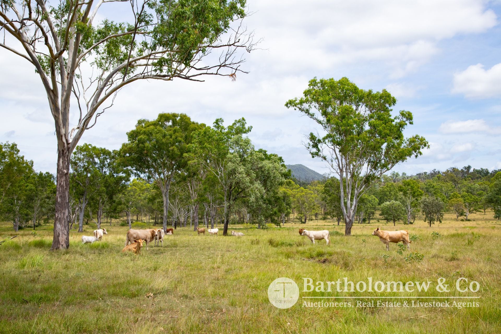 Lot 19 & 20 Koch Road Frazerview QLD, Frazerview - Thumbnail 5