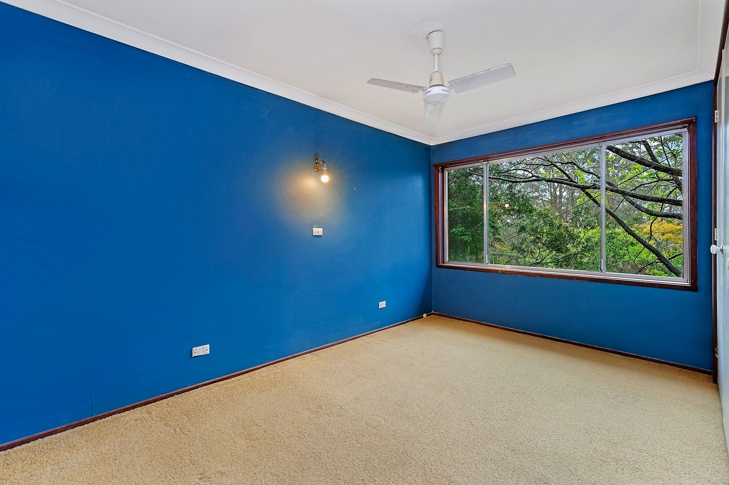 5 Woolcott Avenue, Wahroonga, Wahroonga - Thumbnail 7