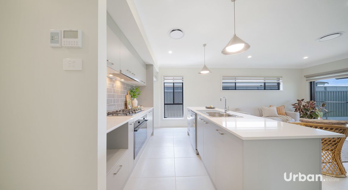 Bellbird 68 Abbotsford Street