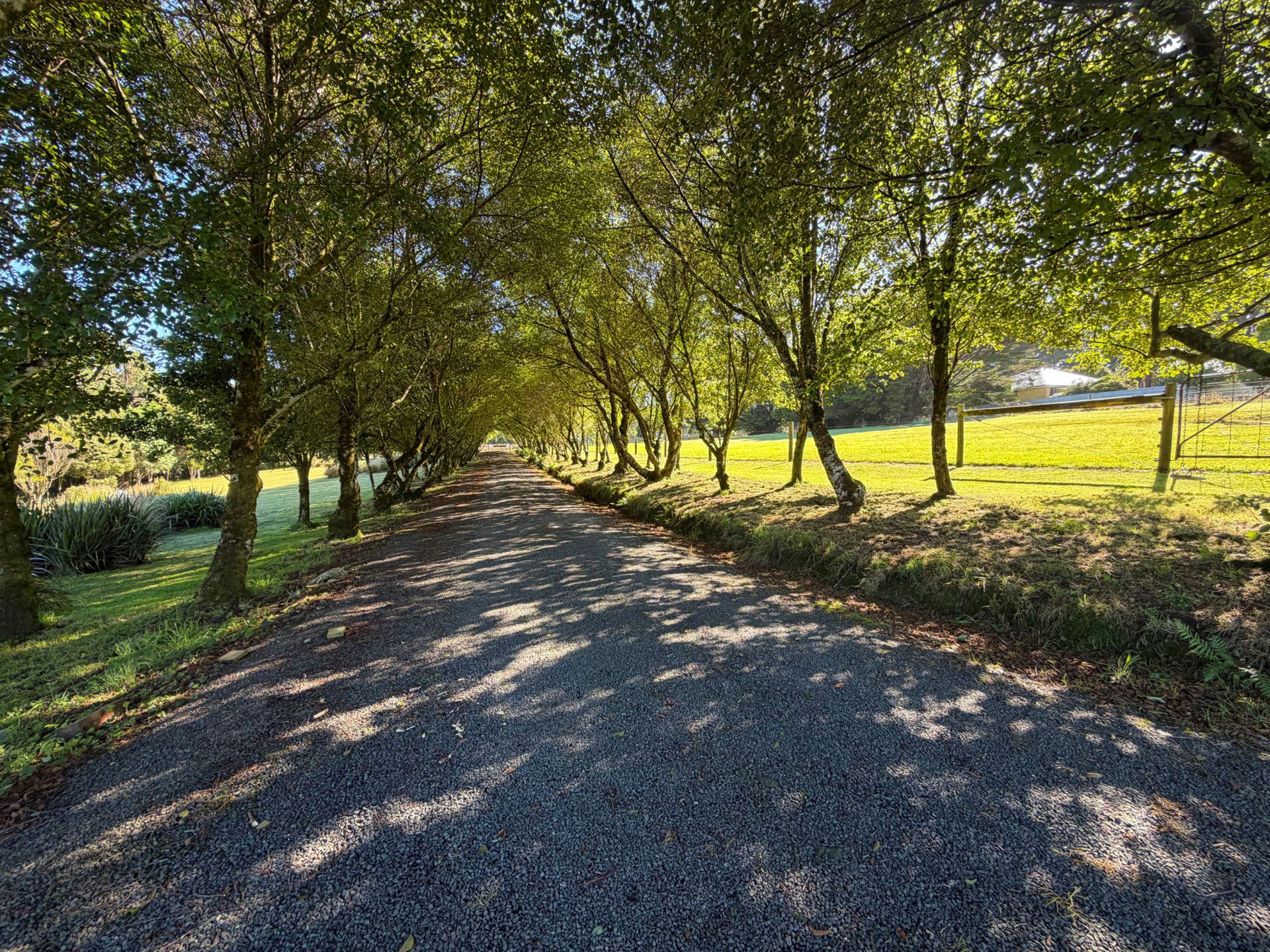 4695 Colac Lavers Hill Road, Wyelangta - Thumbnail 4