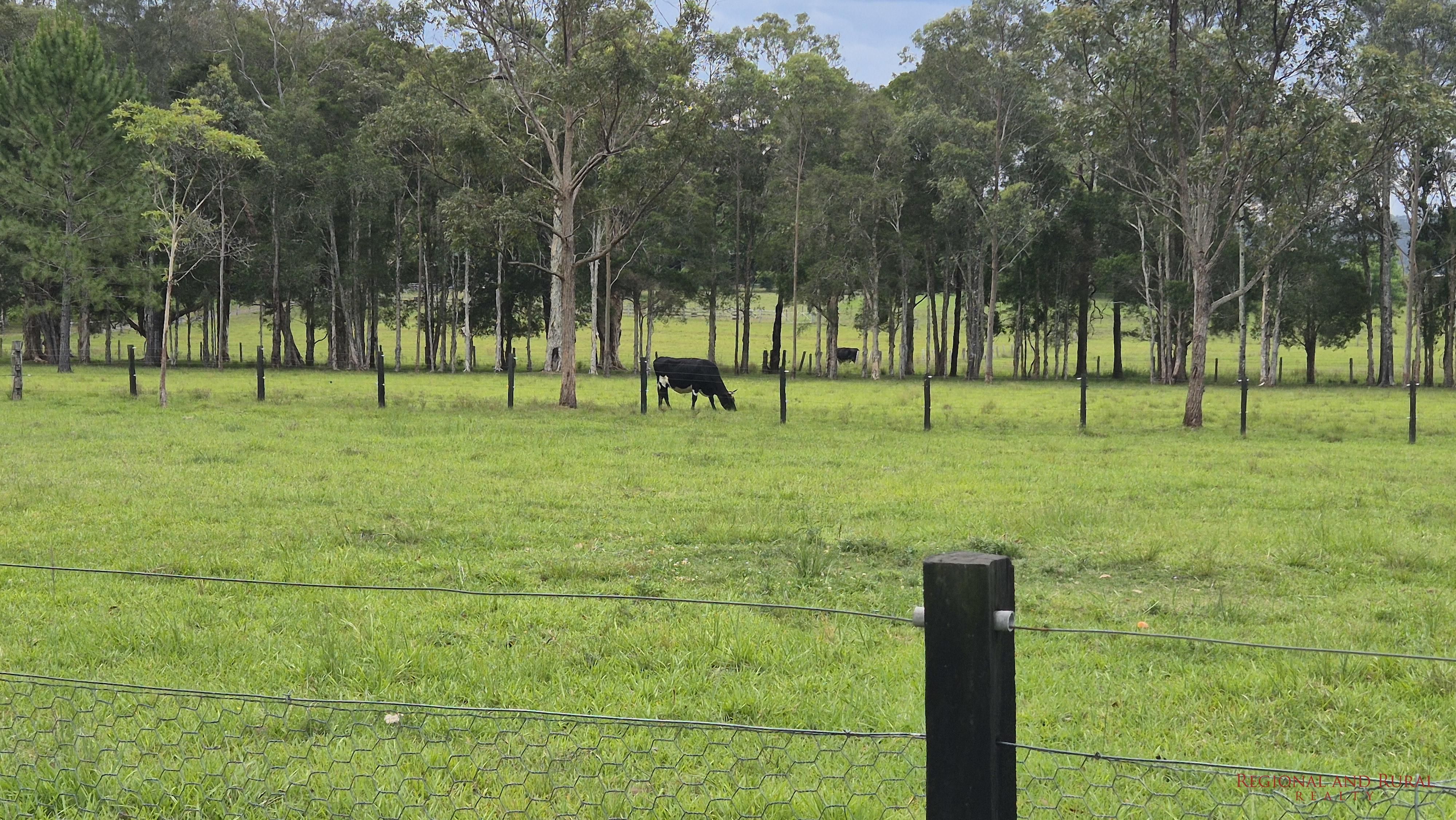 16 Farrawells Road, TELEGRAPH POINT NSW 2441