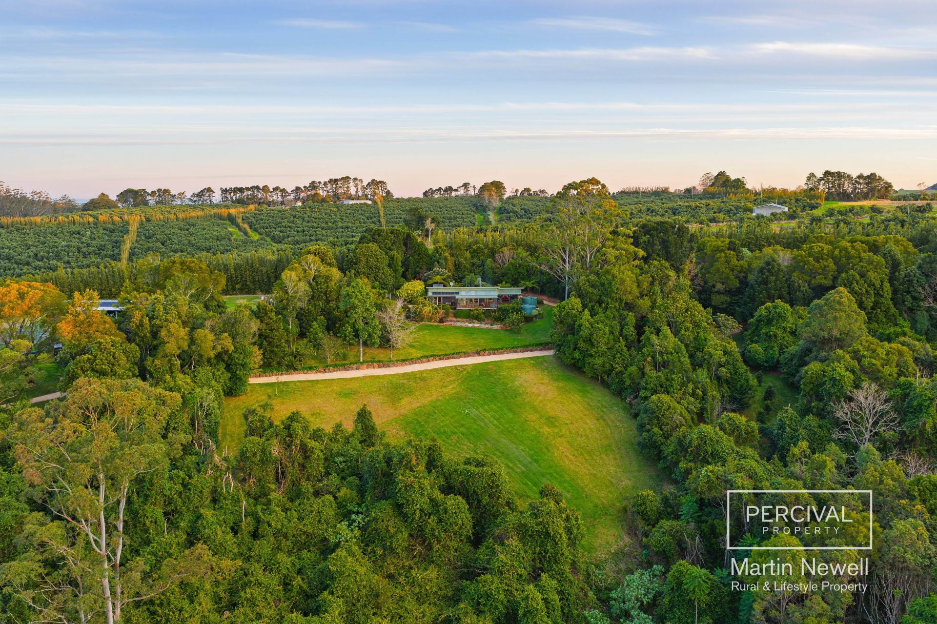 384 Playfords Road Comboyne NSW, Comboyne - Thumbnail 4