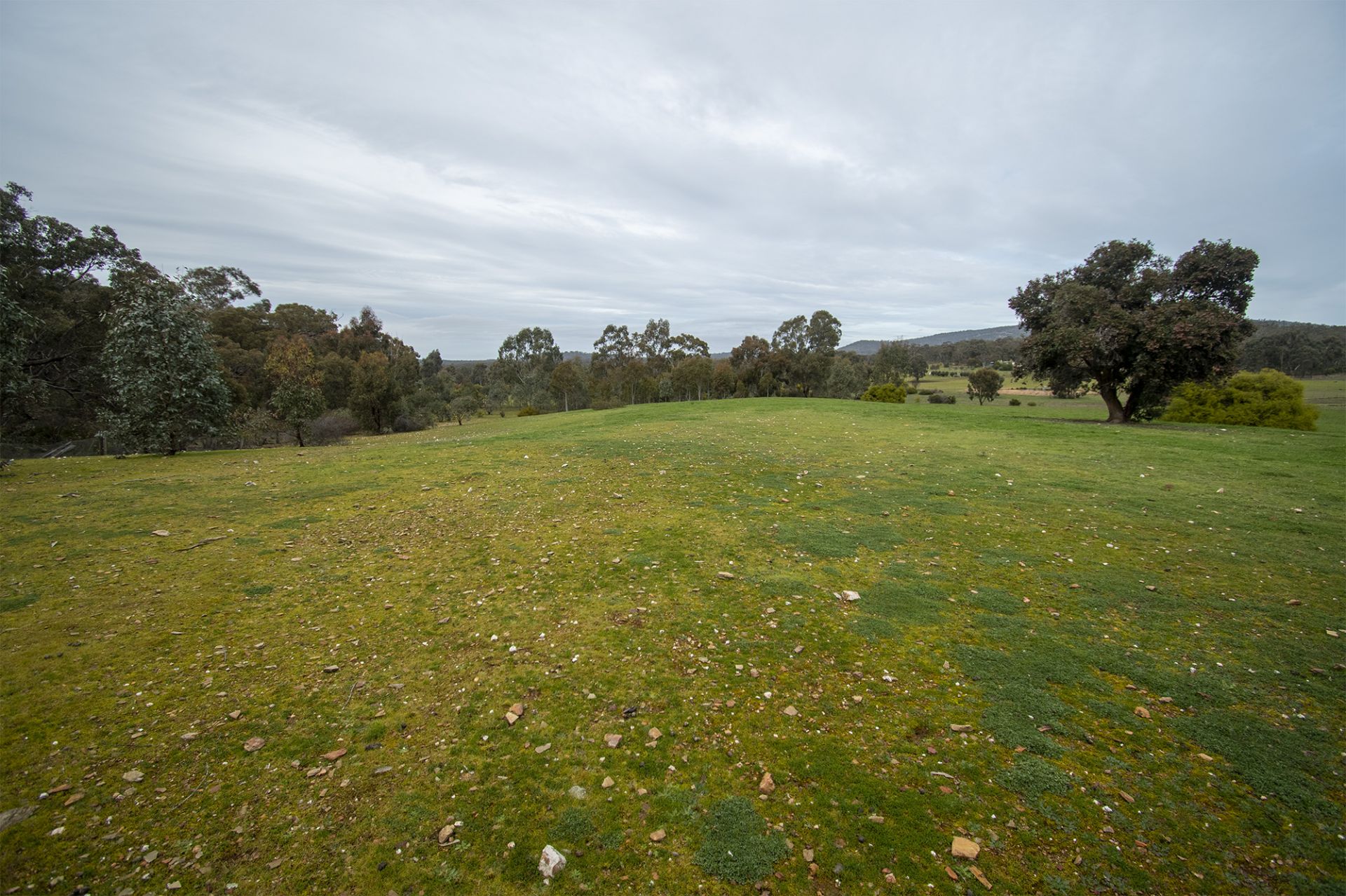 CA 31 - Clay Gully  Lane - McIntyre, Dunolly, Dunolly - Thumbnail 5