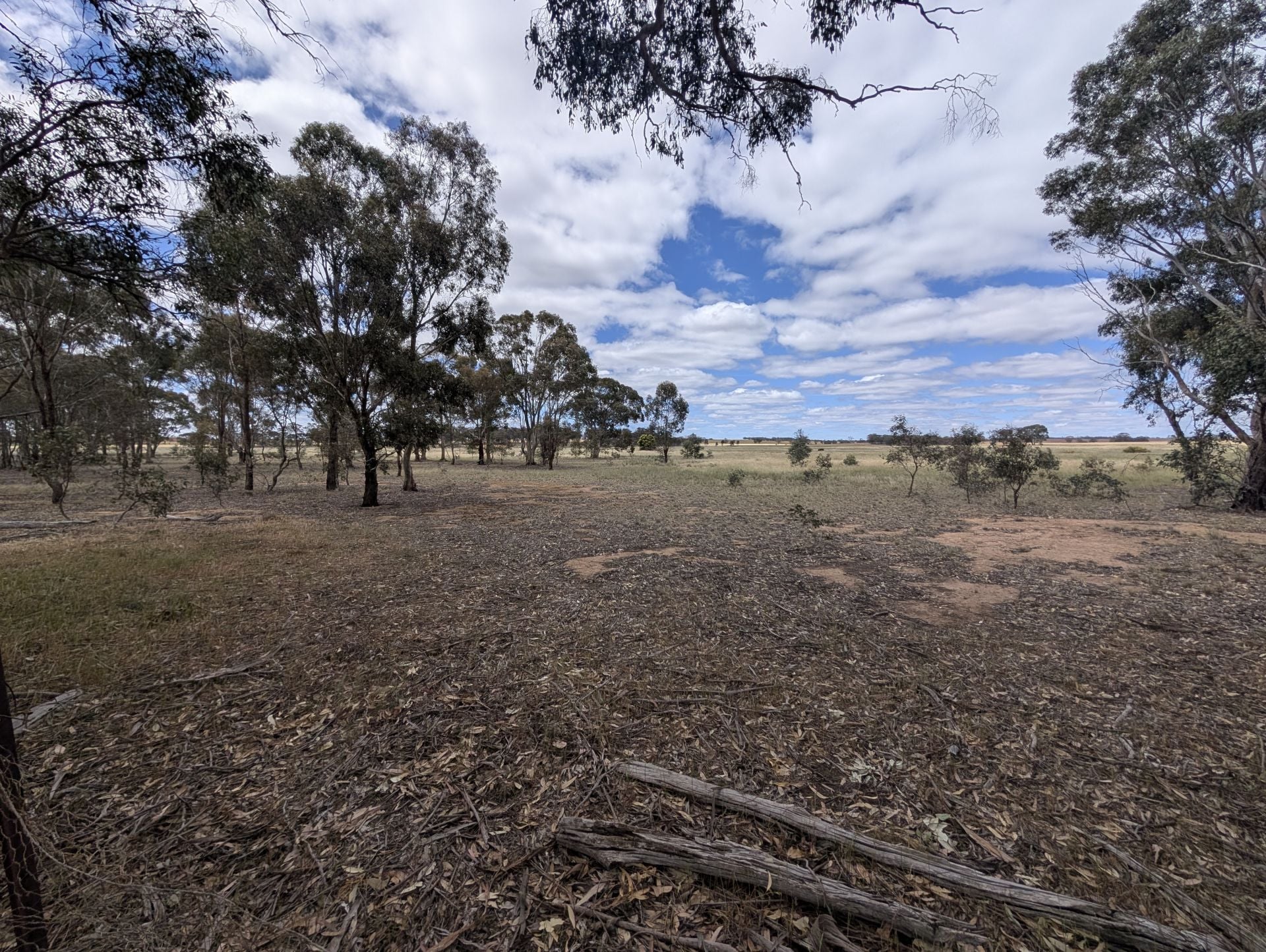 5a Logan-Bealiba Road, Cochranes Creek - Thumbnail 2