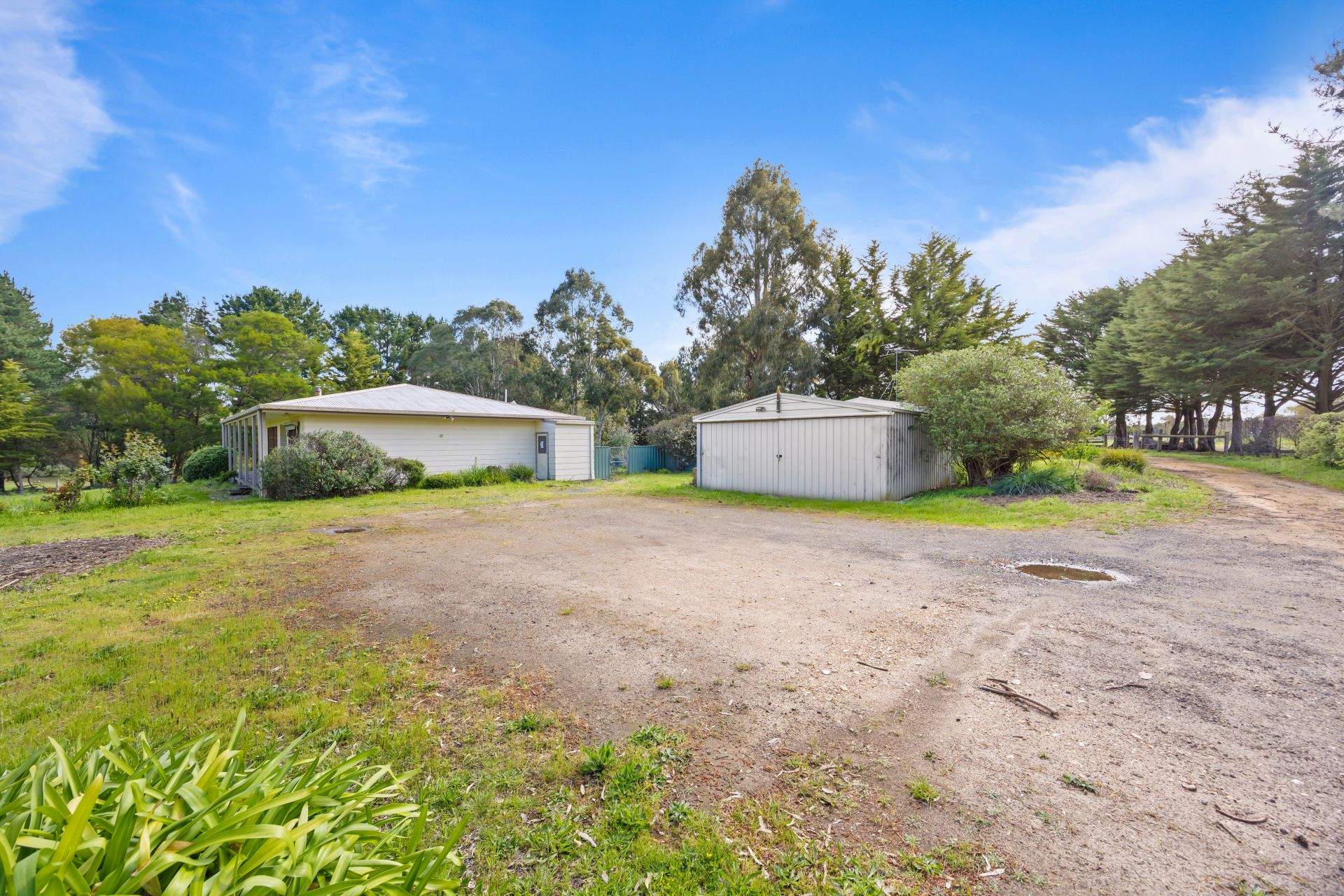 386 Wilsons  Road, Haddon, Haddon - Thumbnail 4