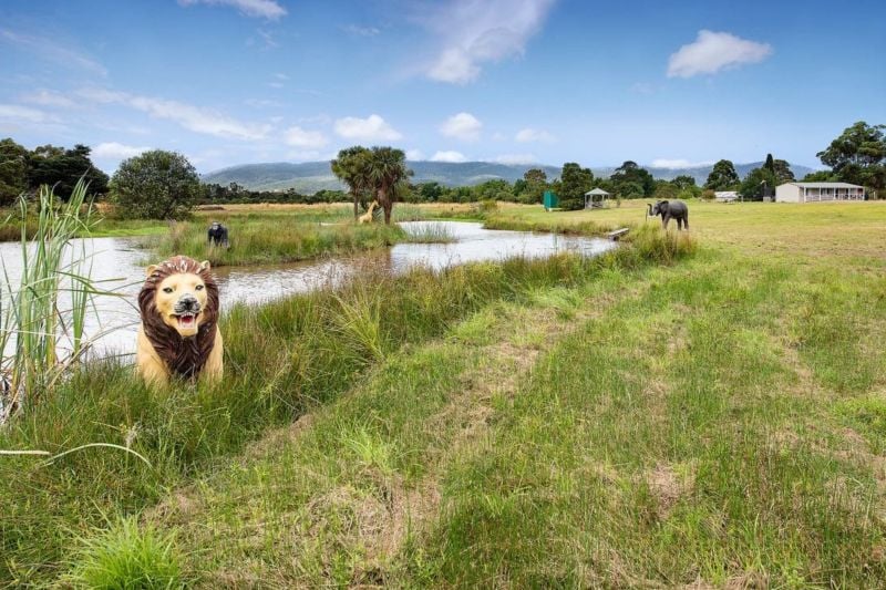 48 Beech Street, Whittlesea