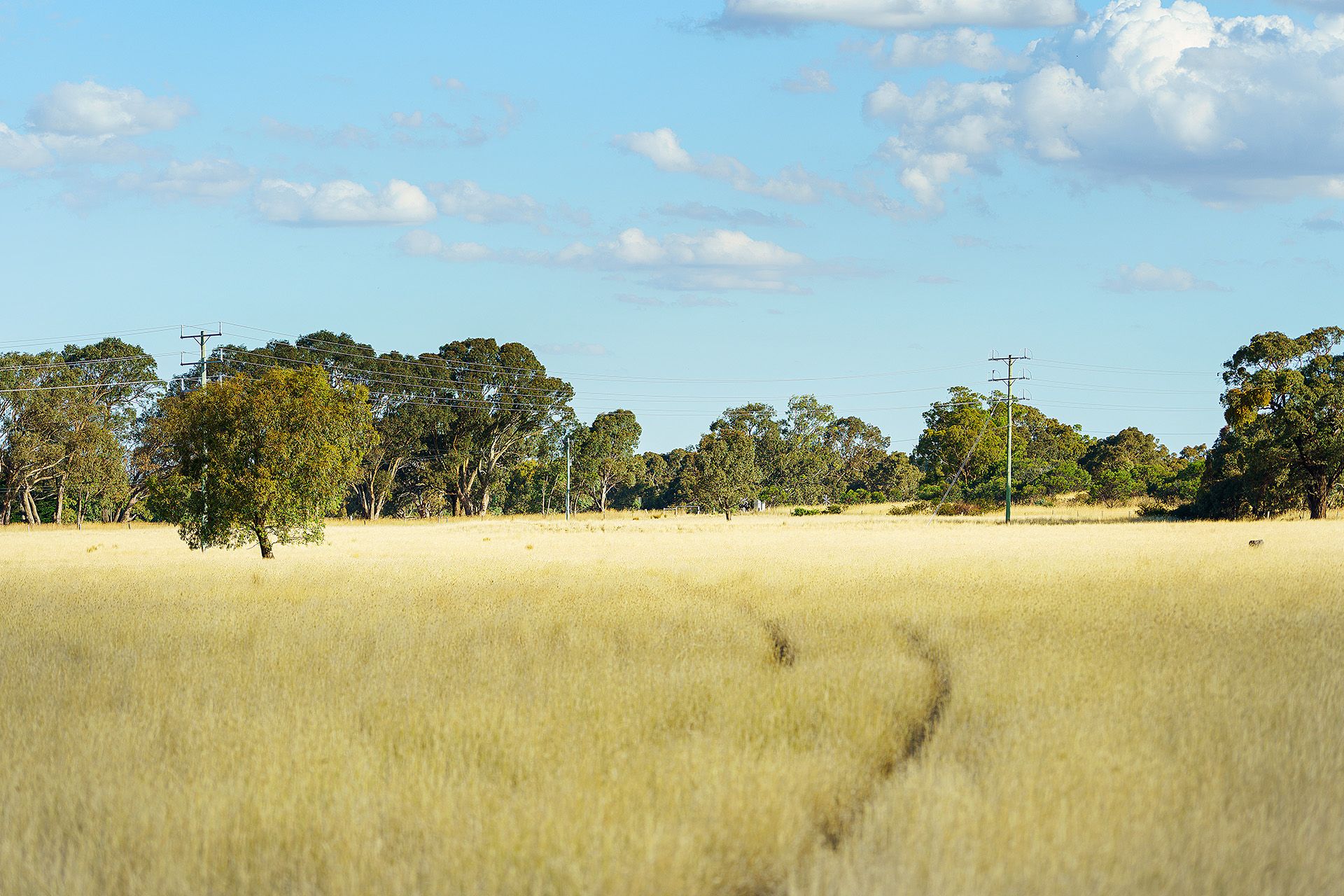 Lot 12/ Main Street, Buangor VIC 3375