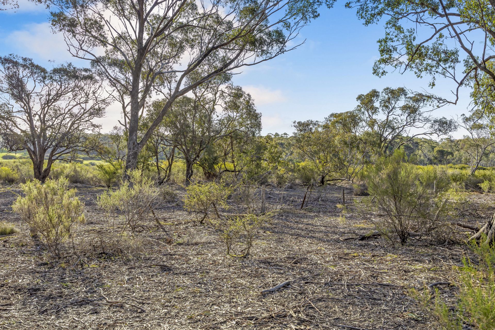 170 McKinleys Road, Clunes, Clunes - Thumbnail 2