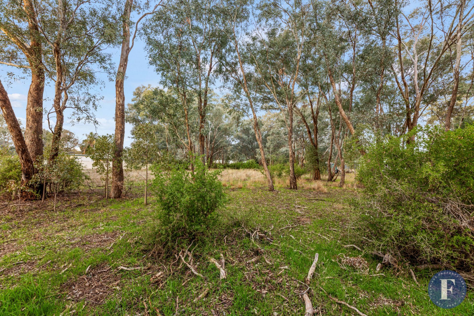 27 Lachlan Street, Koorawatha NSW, Koorawatha - Thumbnail 5