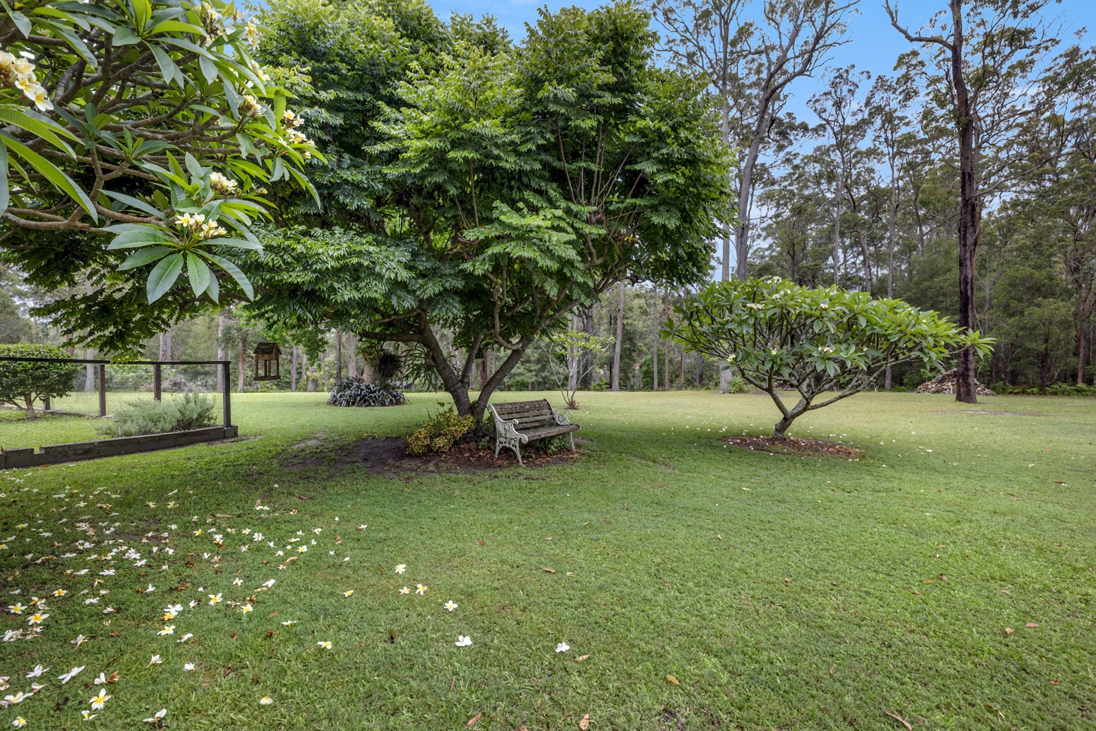 14 Glen Haven Drive, KEW NSW 2439
