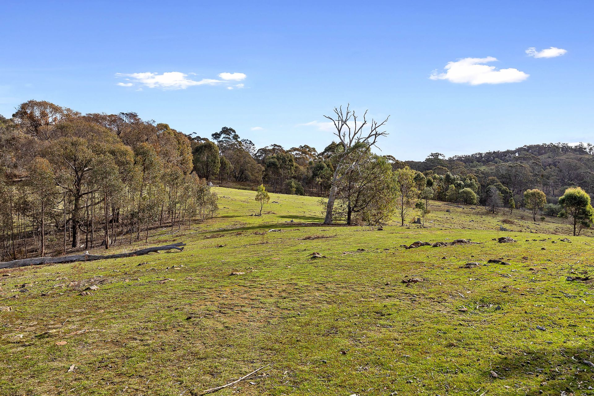 1/ Heritage Drive, Sedgwick, Sedgwick, Sedgwick - Thumbnail 5