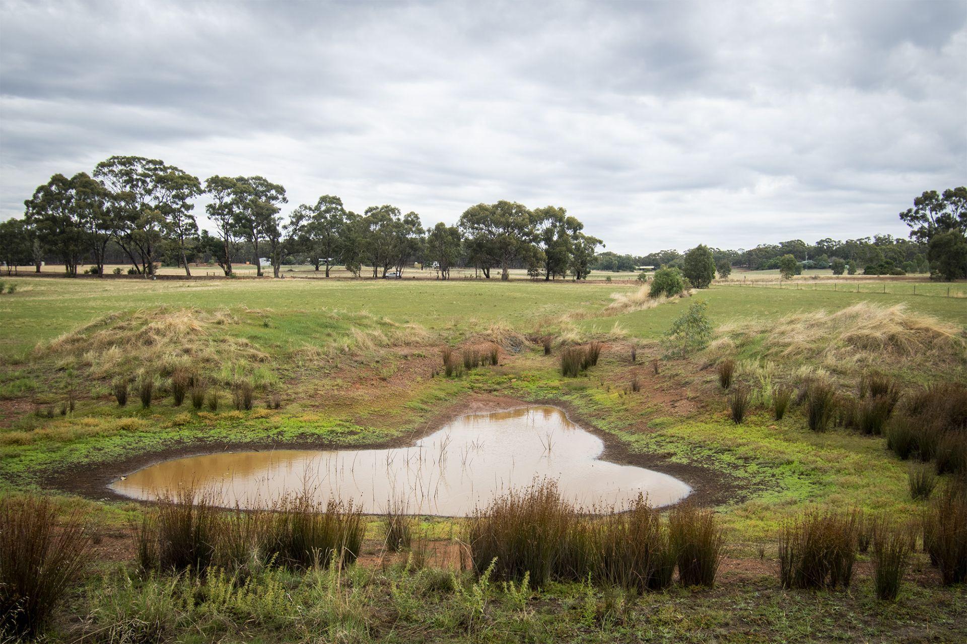 1/ Newbold Street, Wedderburn - Thumbnail 4