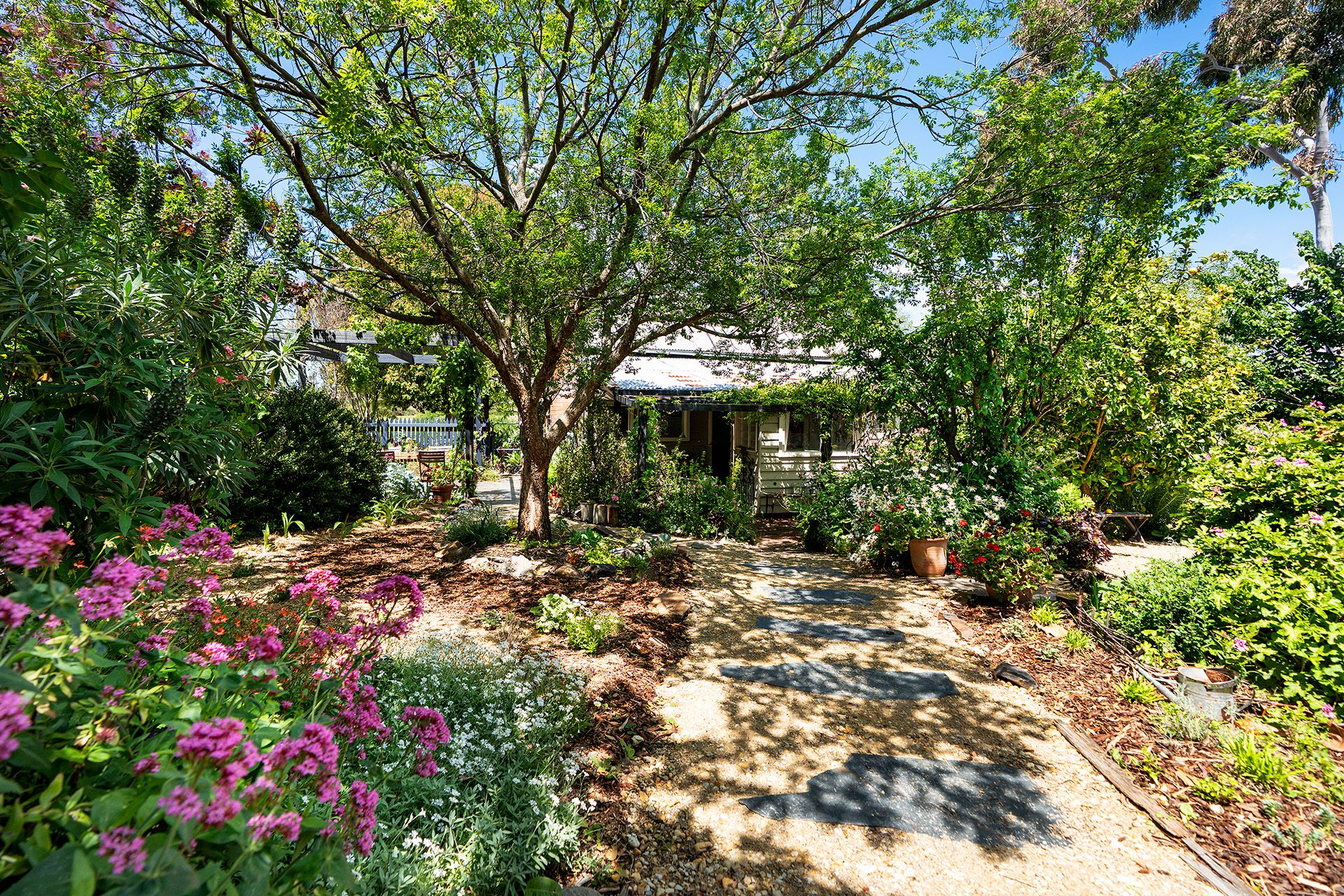 1 Reef Street, Maldon - Thumbnail 8