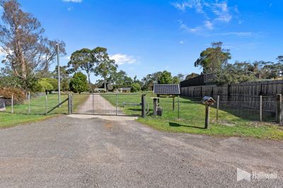 4 Peppermint Court, Port Sorell, Port Sorell - Thumbnail 7