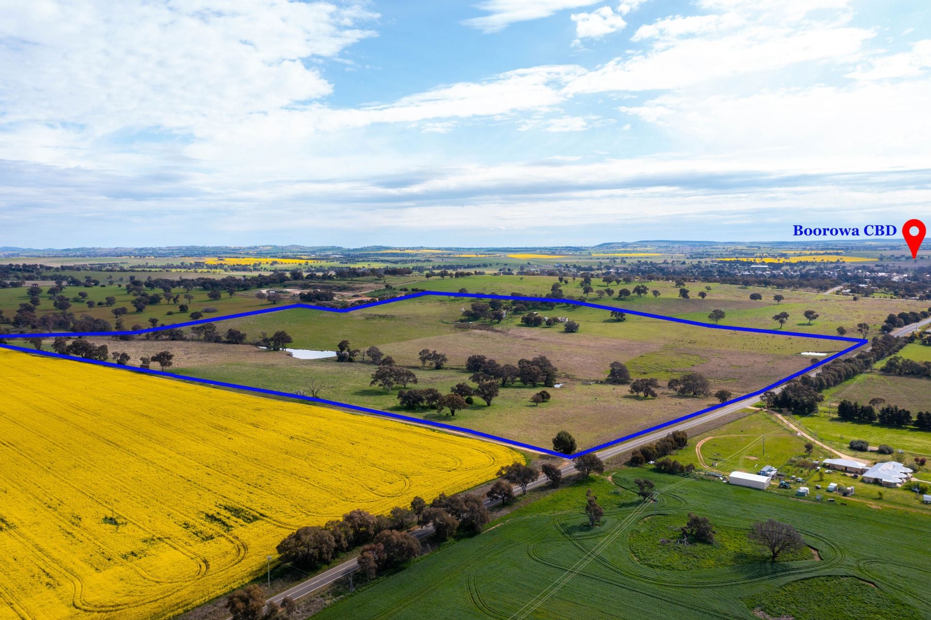"Dots" 1887 Rye Park Road, Boorowa NSW, Boorowa - Thumbnail 2