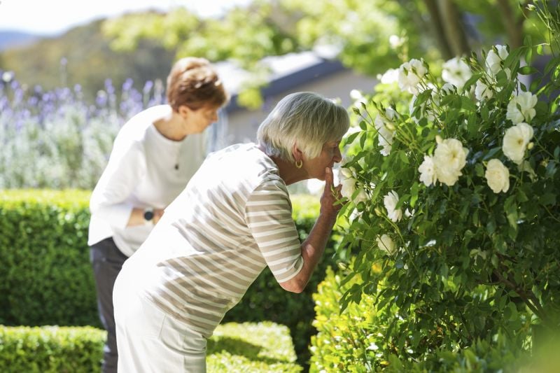 Retirement village like no other ($50,000 REBATE**)