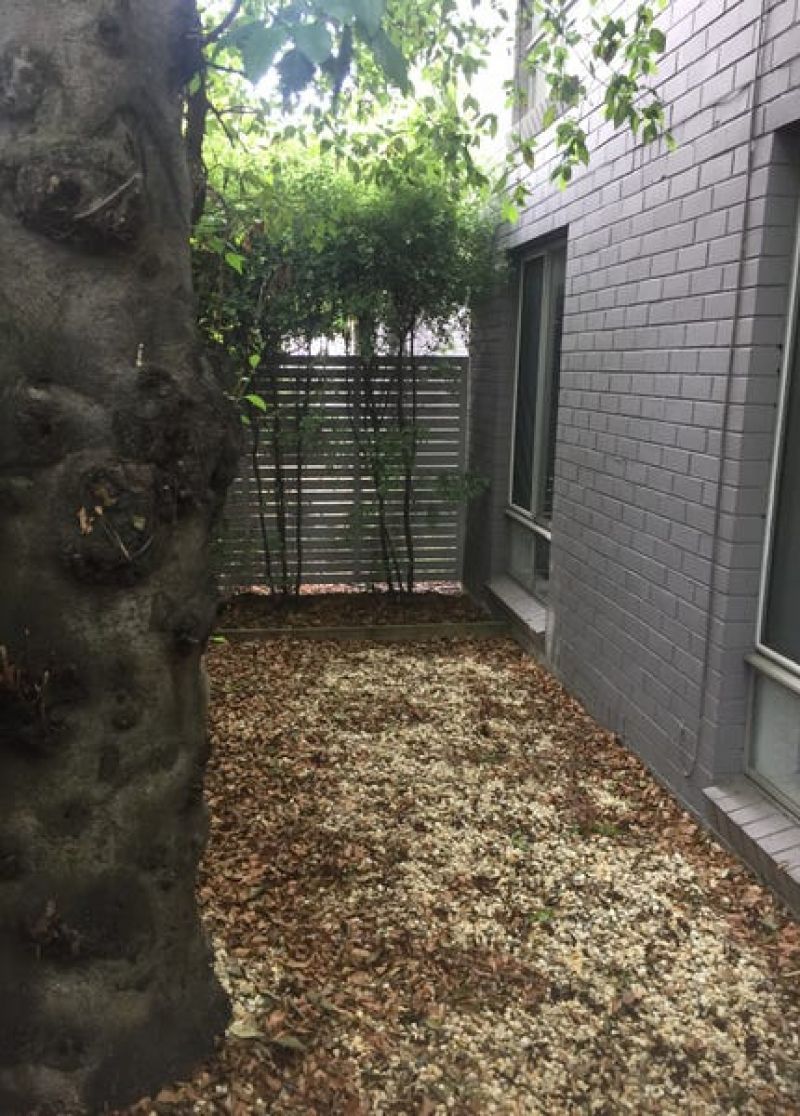 Charming One Bedroom Apartment in Prime Brunswick Location