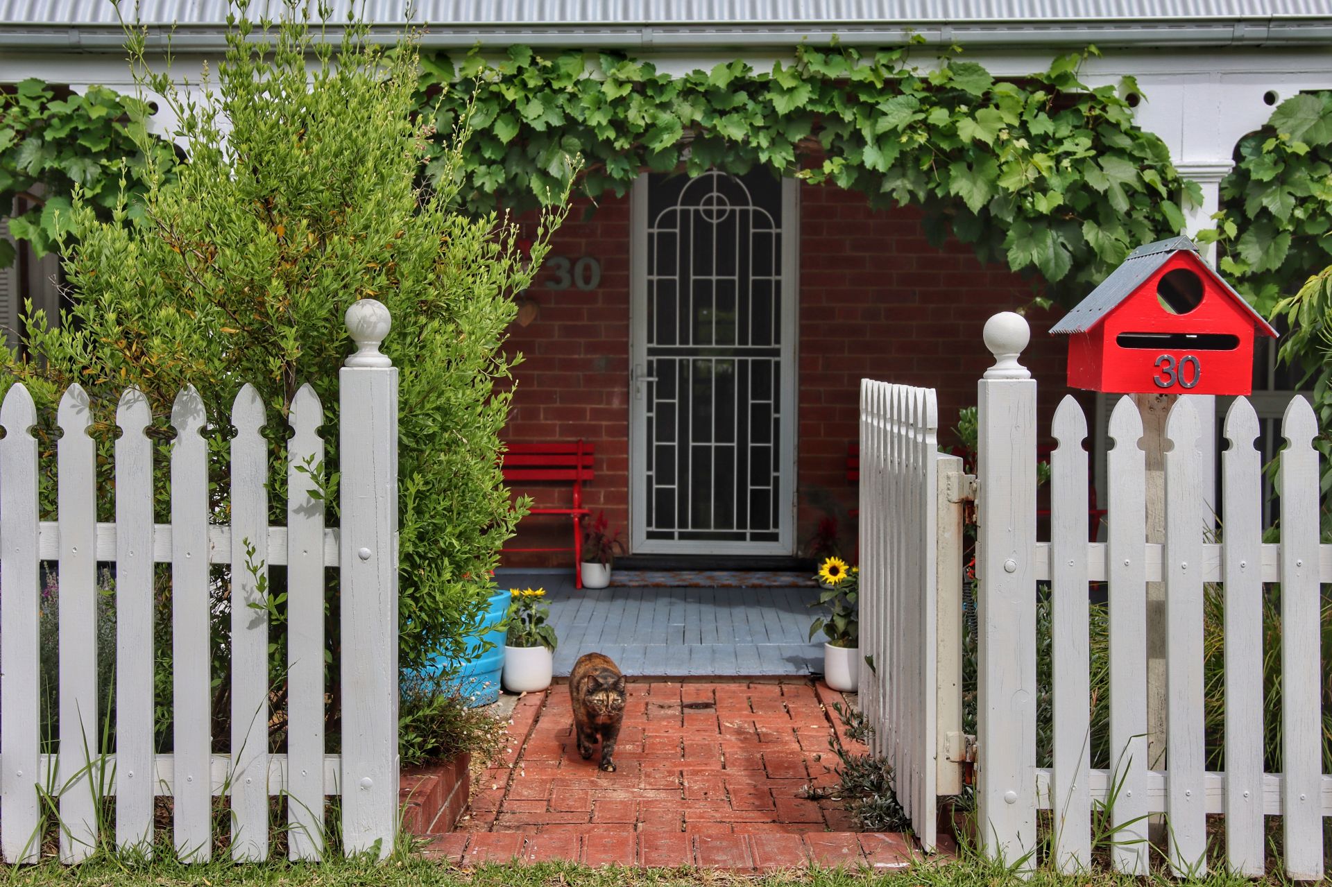 30 Lachlan Street, COWRA, Cowra - Thumbnail 3