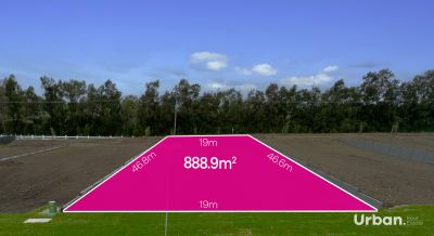 Lochinvar 55 Droughtmaster Avenue