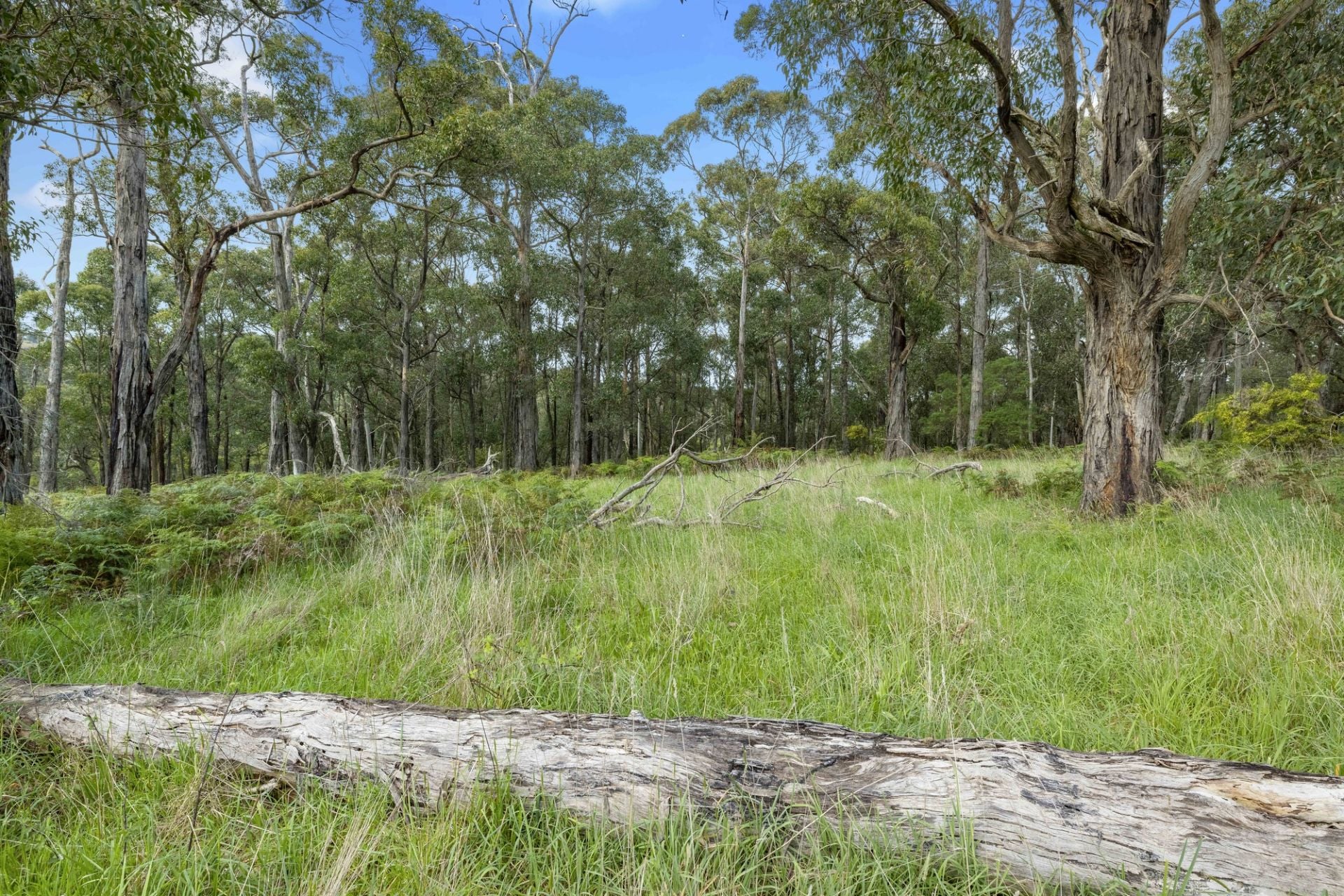 110 Stony Creek Road, Red Hill, Red Hill - Thumbnail 6
