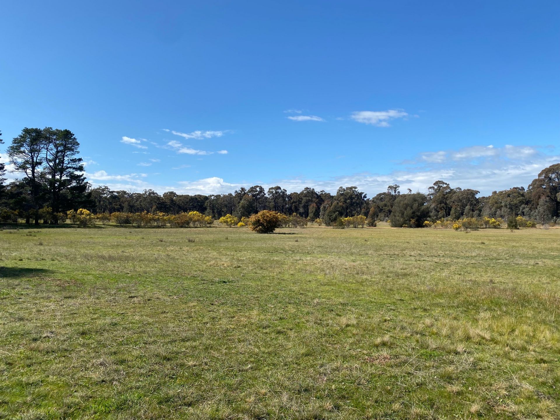 25/ Dunolly-Rheola Road, Dunolly - Thumbnail 6