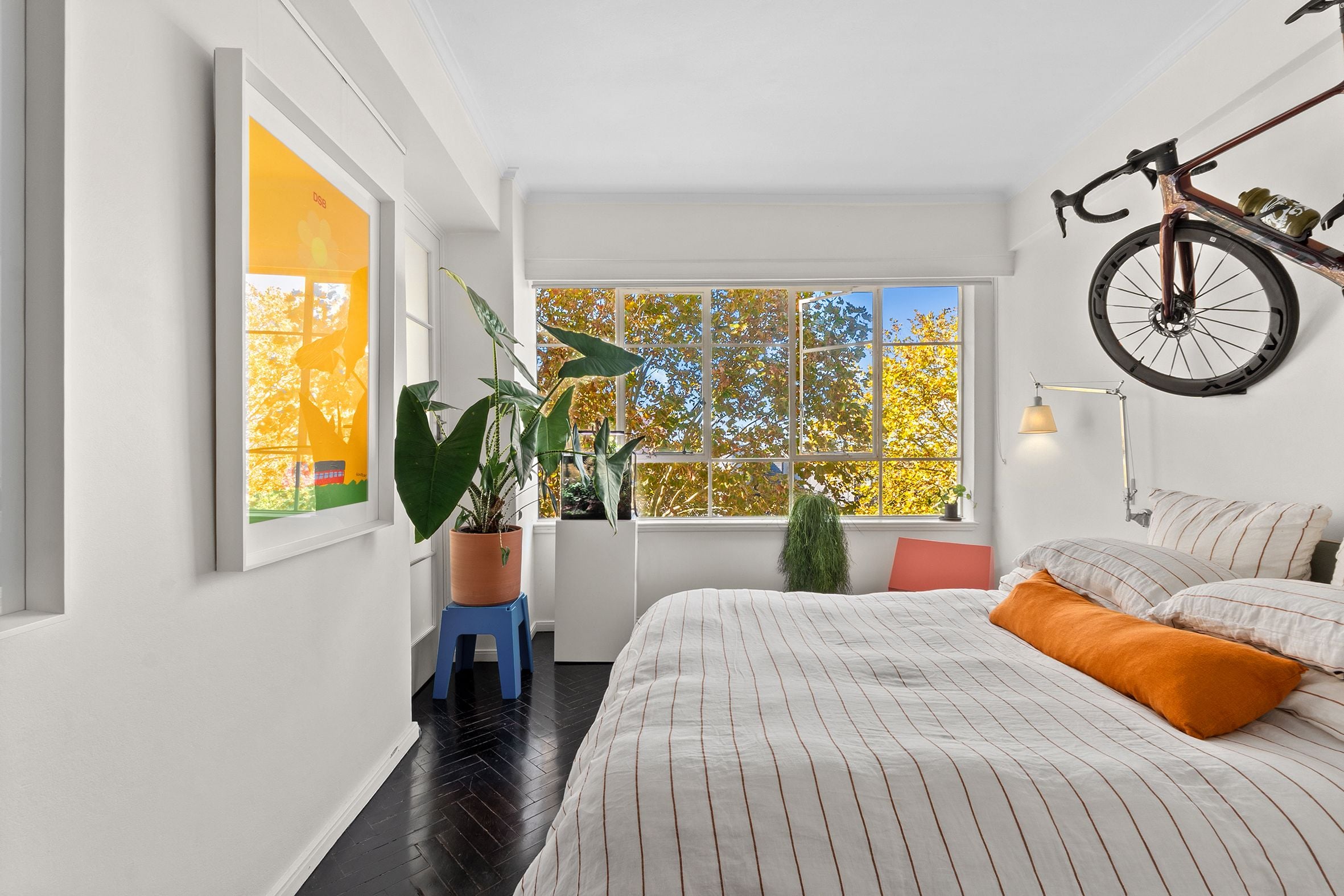 43/17 Wylde Street, Potts Point