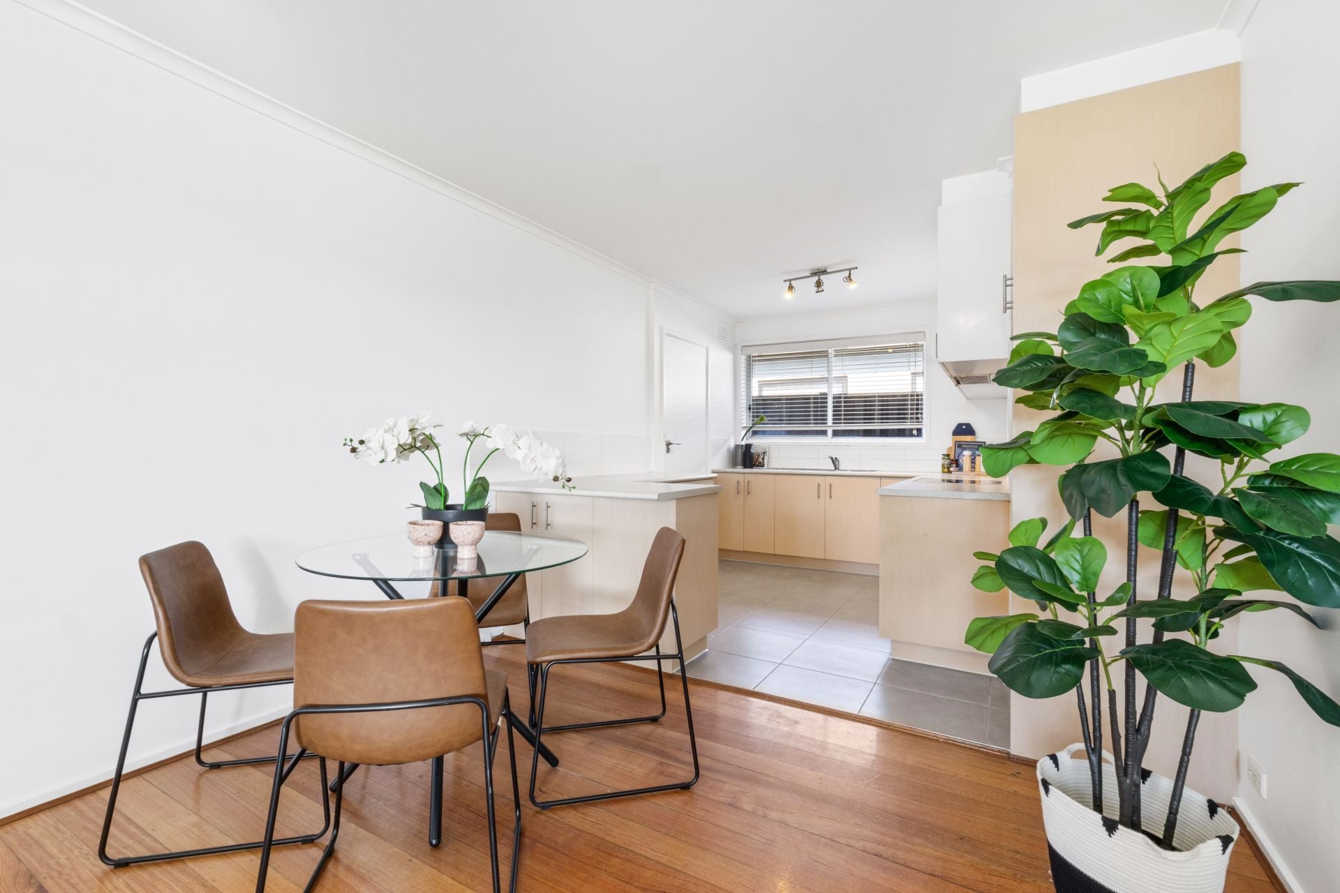 A Wonderful First Home!