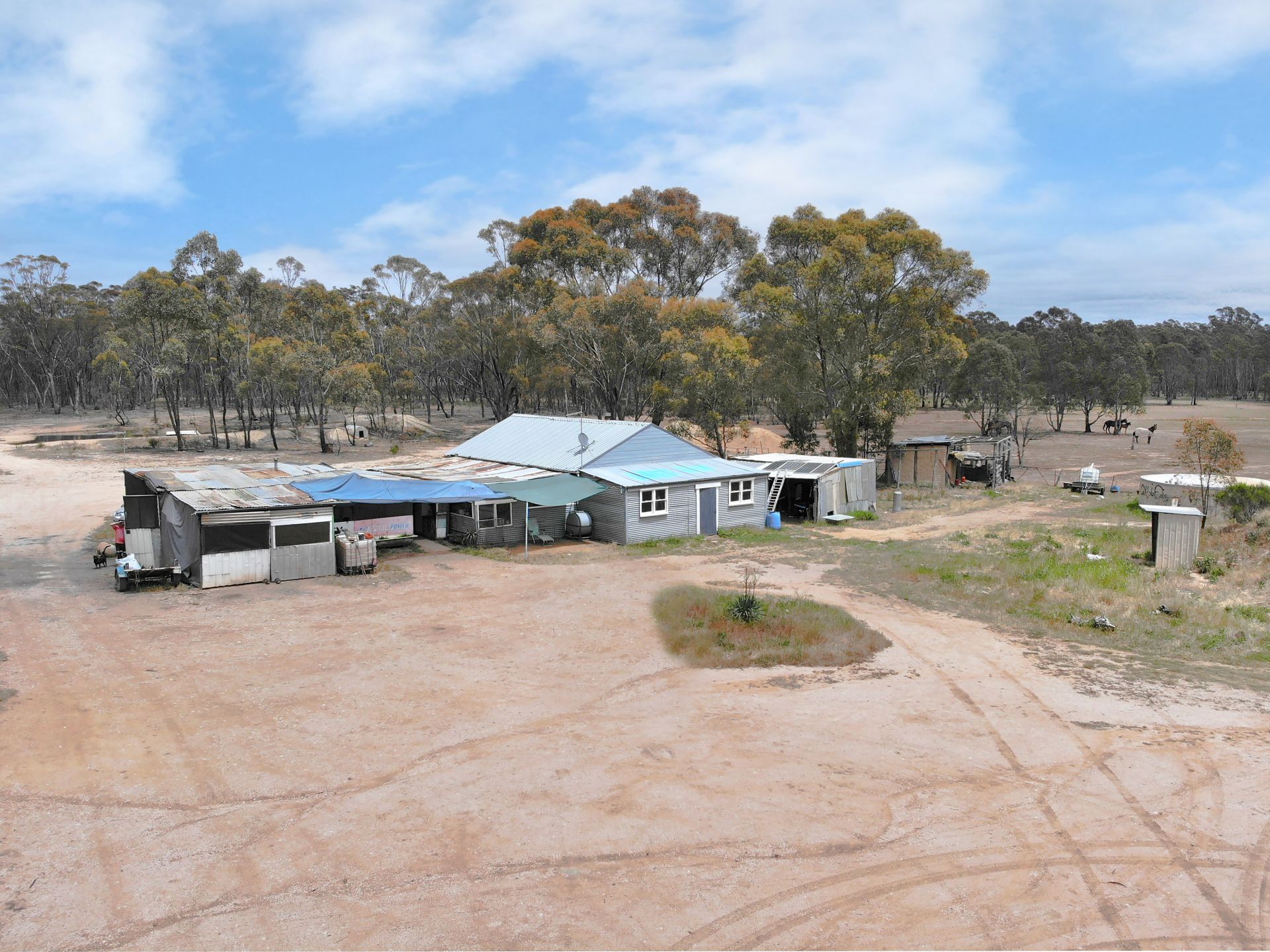 1629 Maryborough-Dunolly Road, Dunolly - Thumbnail 3