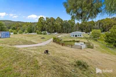 114 Grandview Drive, South Spreyton, South Spreyton - Thumbnail 7