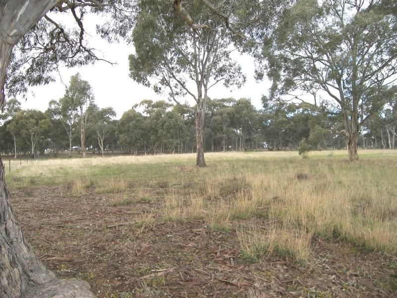 Axe Creek, Axe Creek - Thumbnail 2