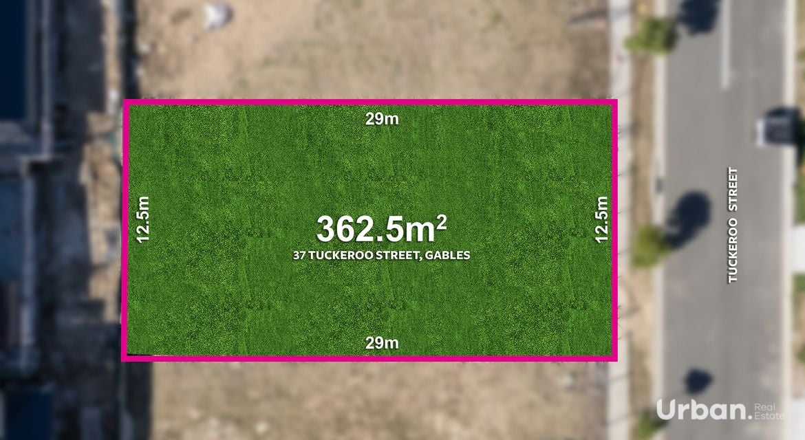 Box Hill 37 Tuckeroo  (Gables) Street