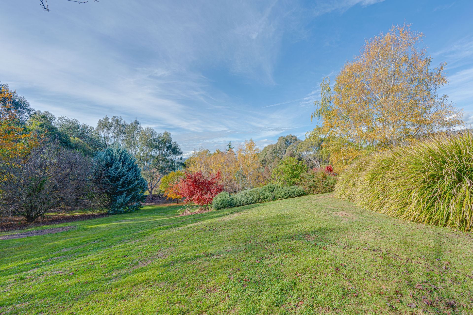 142 Buffalo Creek Road, MYRTLEFORD, Myrtleford - Thumbnail 7