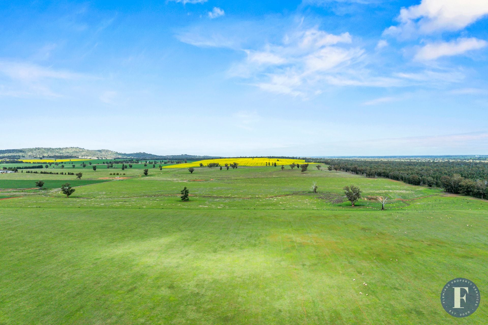 893 Deaths Lane, Pullabooka NSW, Pullabooka - Thumbnail 5
