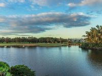 31/117 Palm Meadows Drive, Carrara, Spectacular Waterfront Duplex In Secure Gated Estate - Thumbnail 7